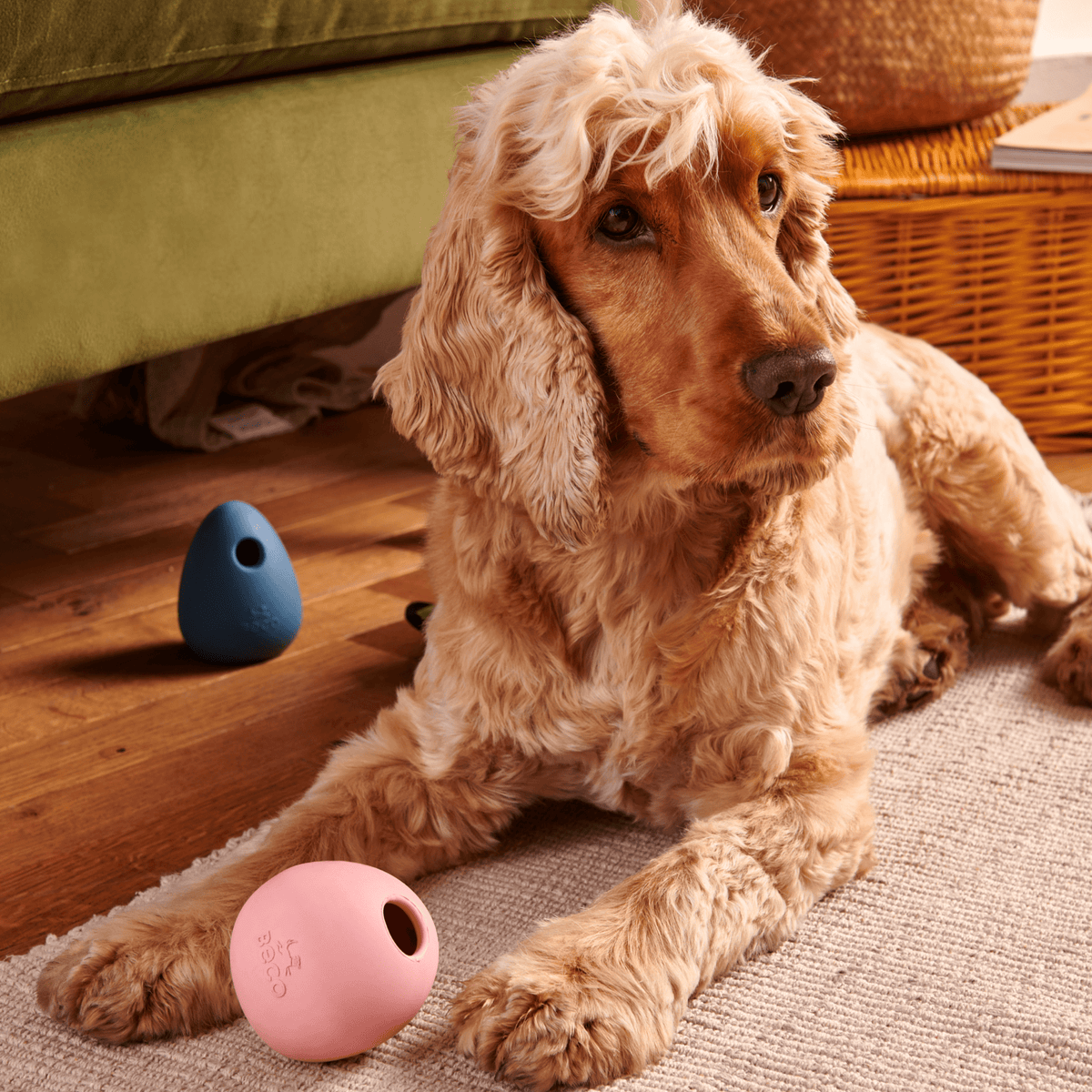 Natural Rubber Boredom Buster  BECO - Love your dog, love our planet – Beco