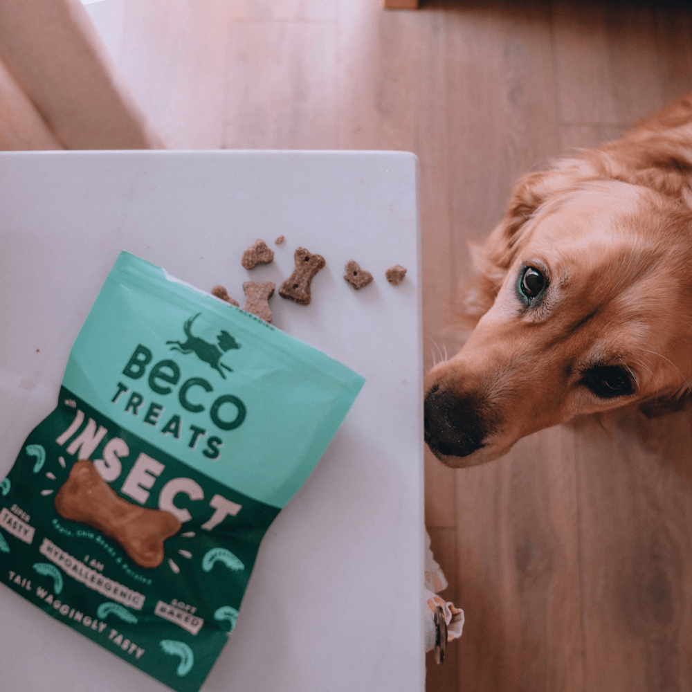 Fibre treats for dogs best sale