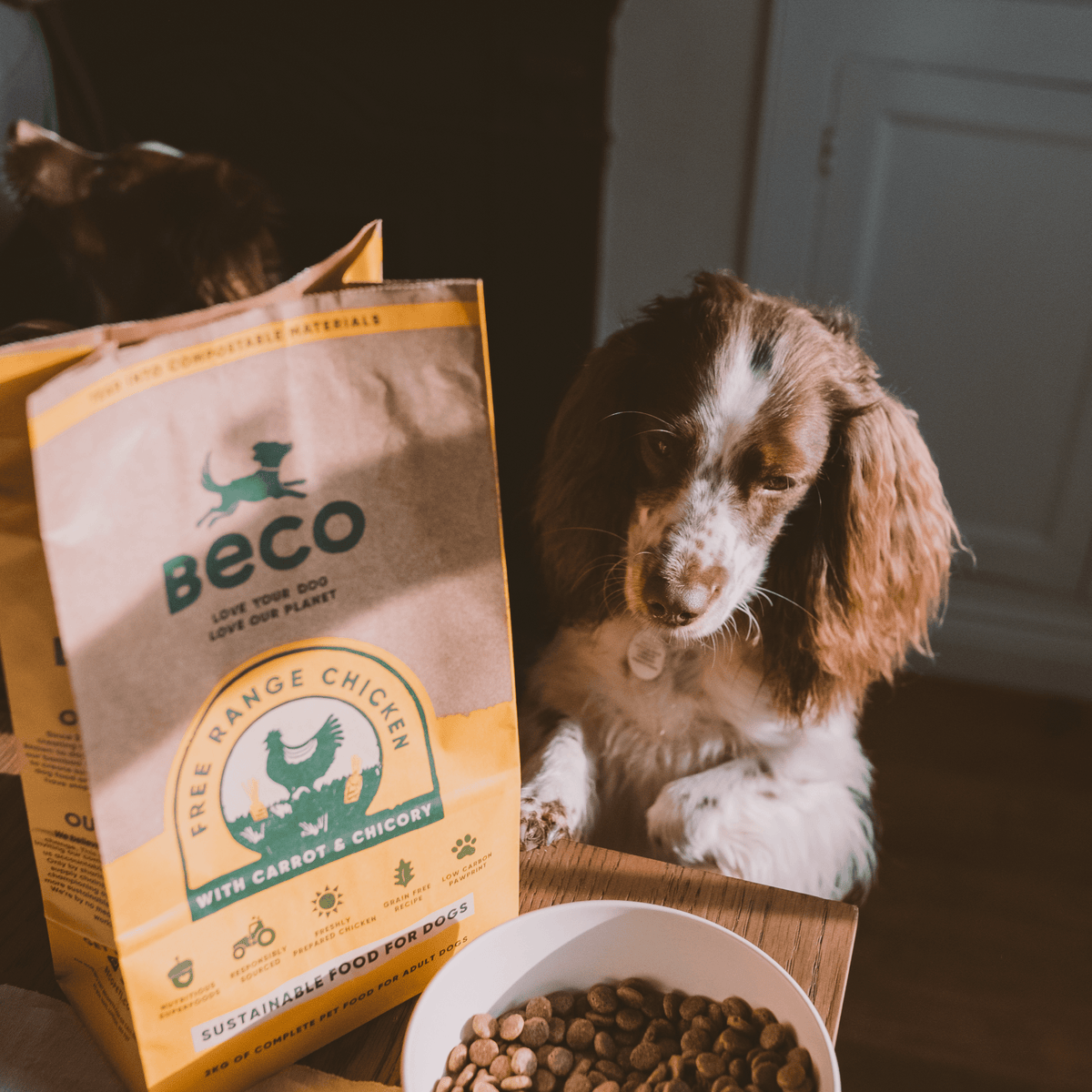 Free Range Chicken Dog Food Grain Free Dry Dog Food Beco