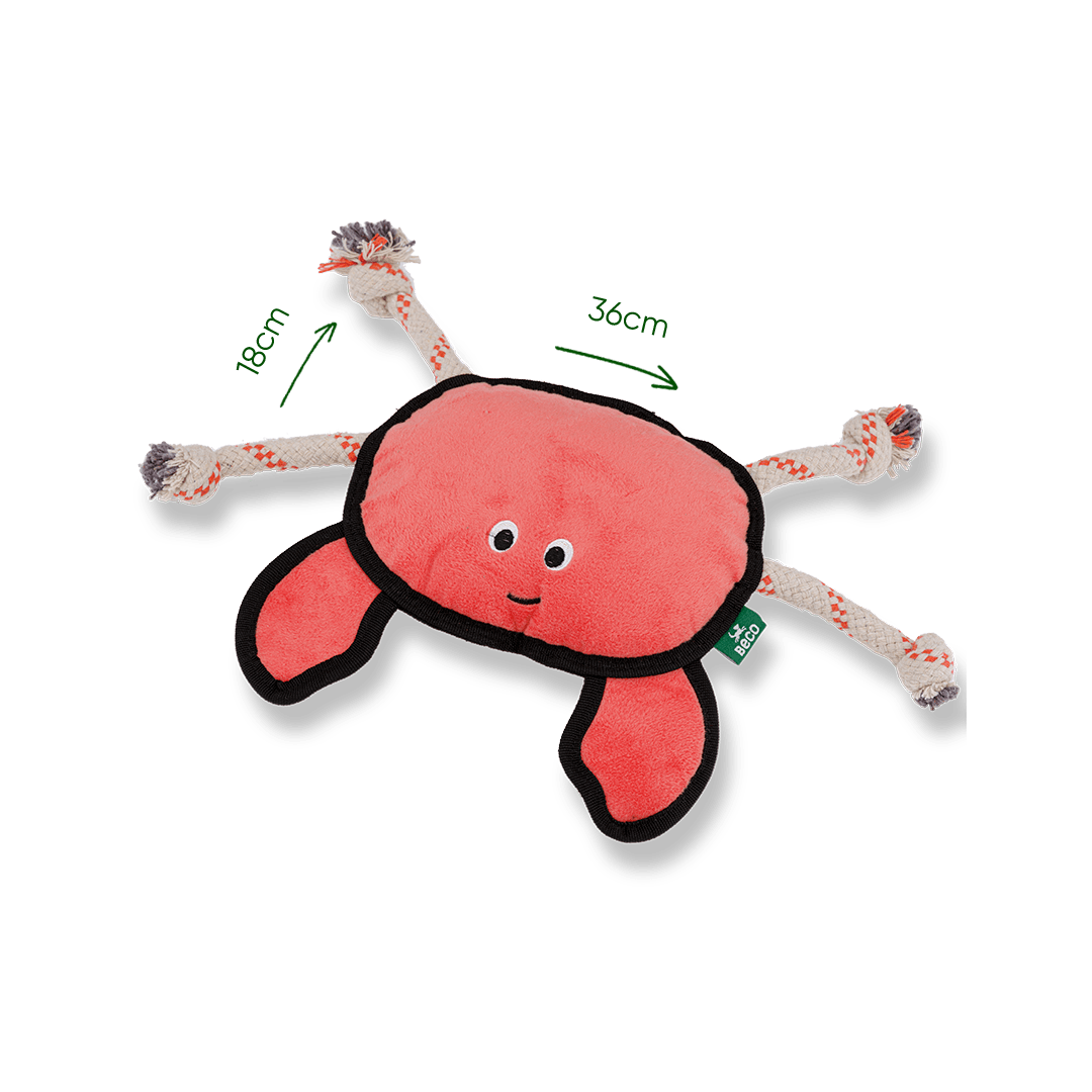 Squeaky crab 2025 dog toy