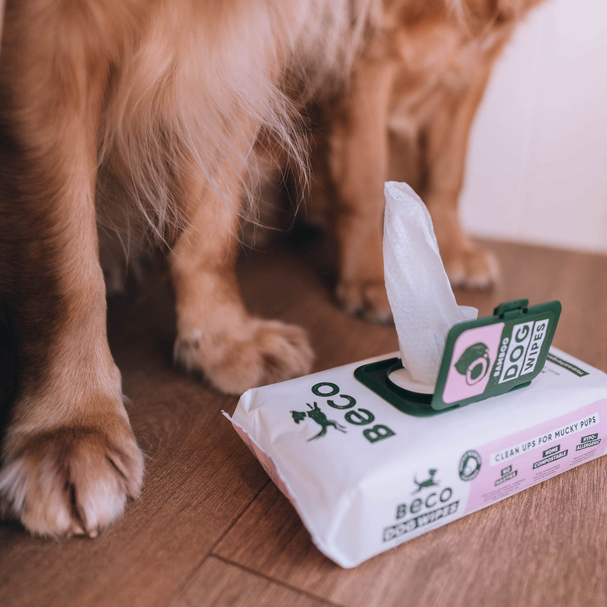 Biodegradable dog wipes best sale