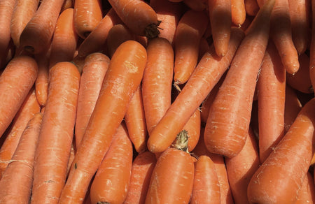 Is carrot safe for dogs best sale