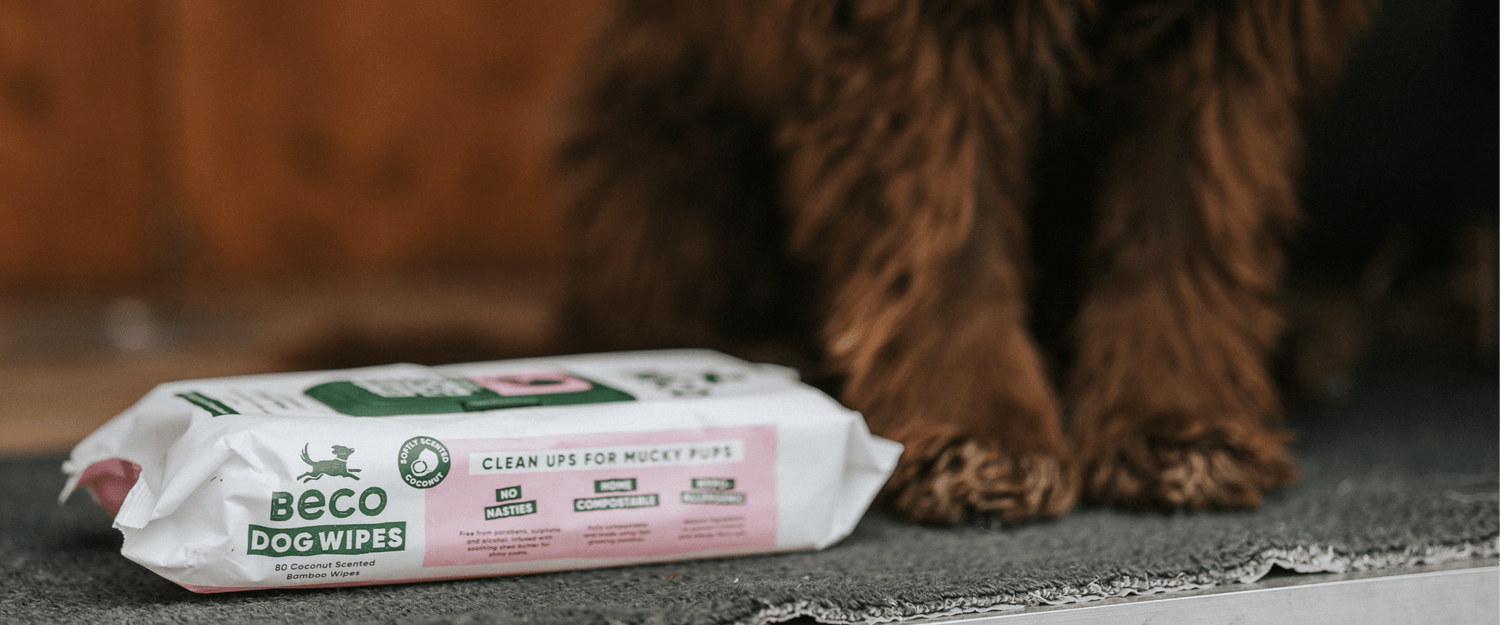 Dog Wipes