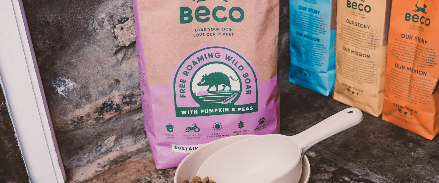 Dry Dog Food | Beco Pets