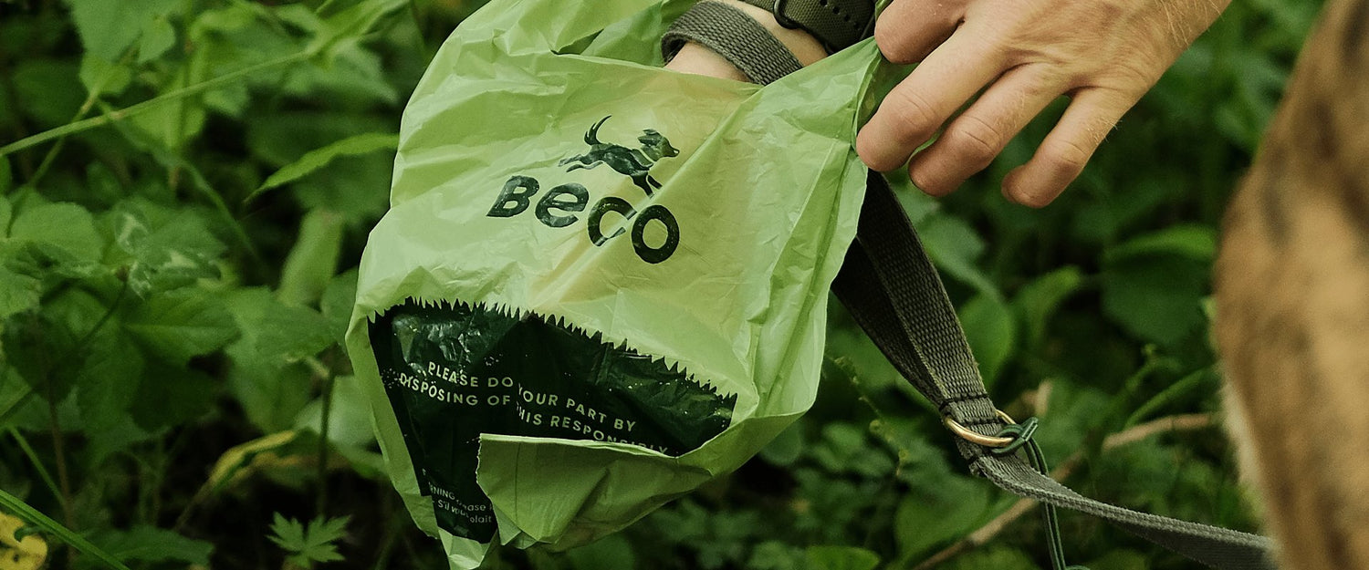 dog poo bags 