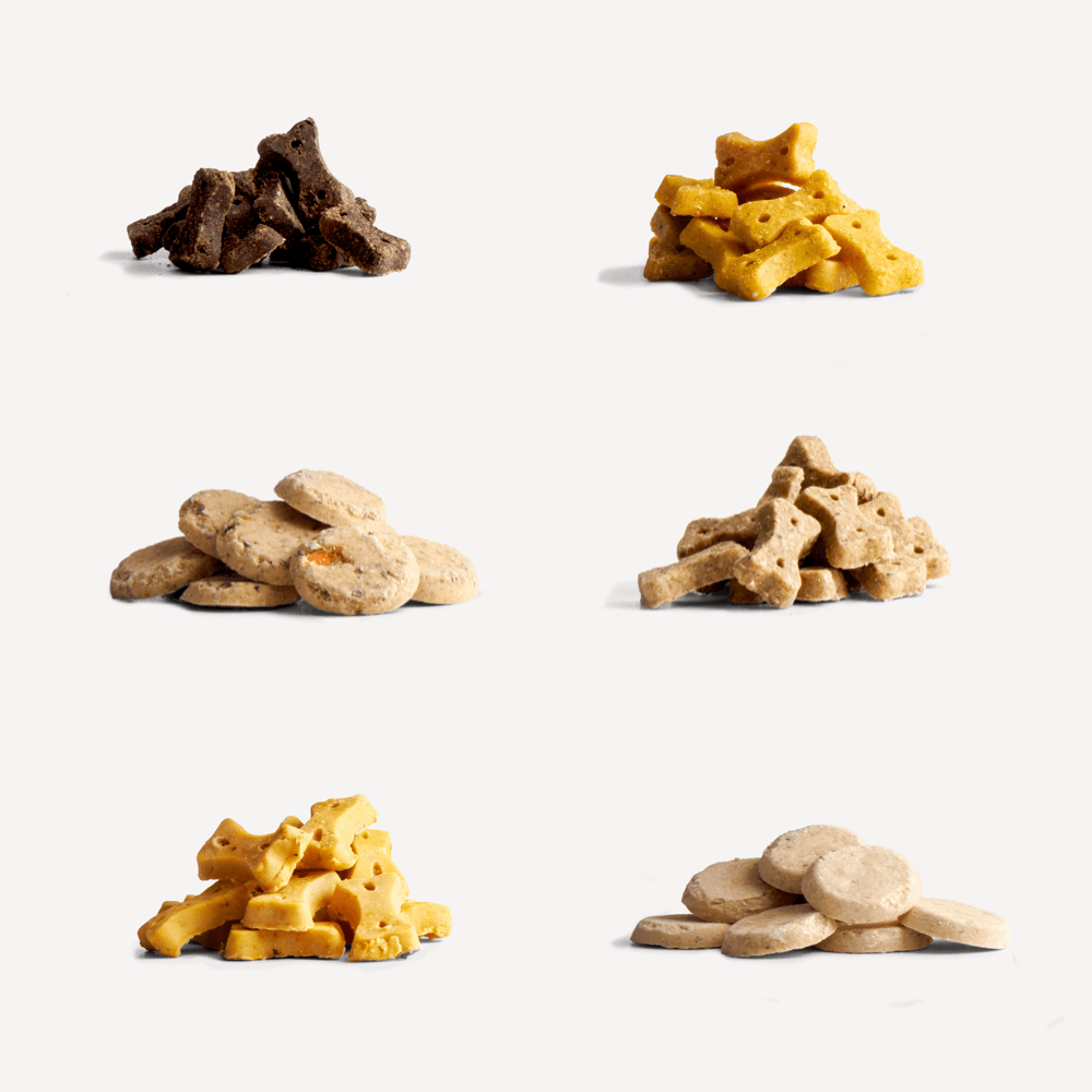 Different types of dog treats hotsell