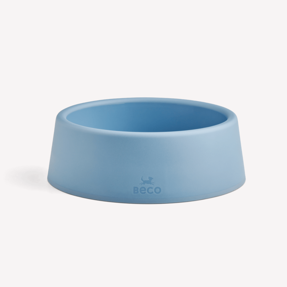 Steady Dog Bowl