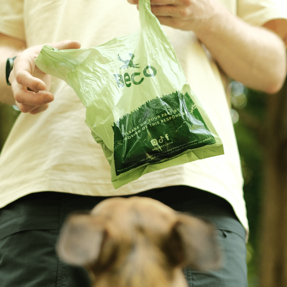 Large Poop Bags with Handles | Unscented