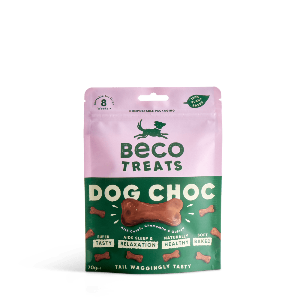 Can Dogs Eat Cheese Beco