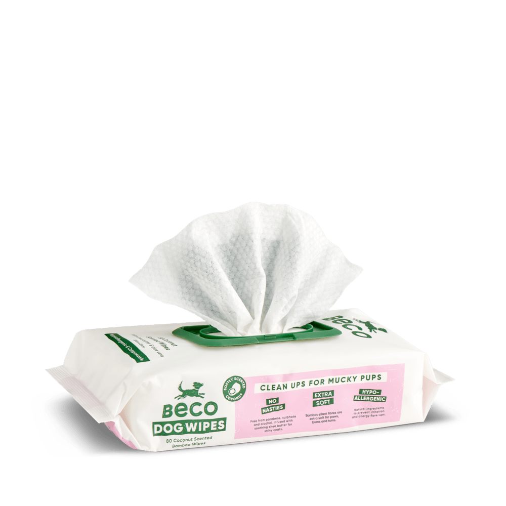 Bamboo Dog Wipes | Coconut Scented