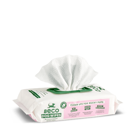 Bamboo Dog Wipes | Coconut Scented