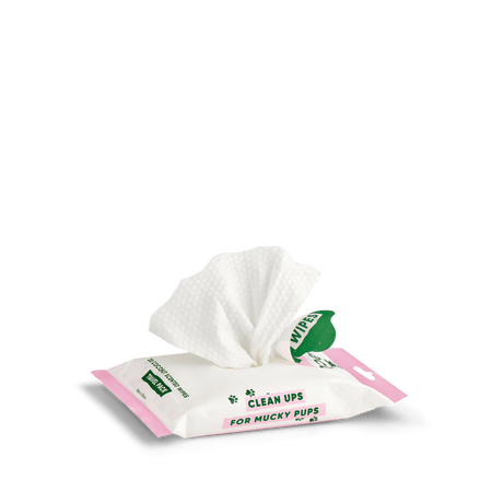 Bamboo Travel Wipes | Coconut Scented