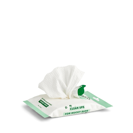 Bamboo Travel Wipes | Unscented