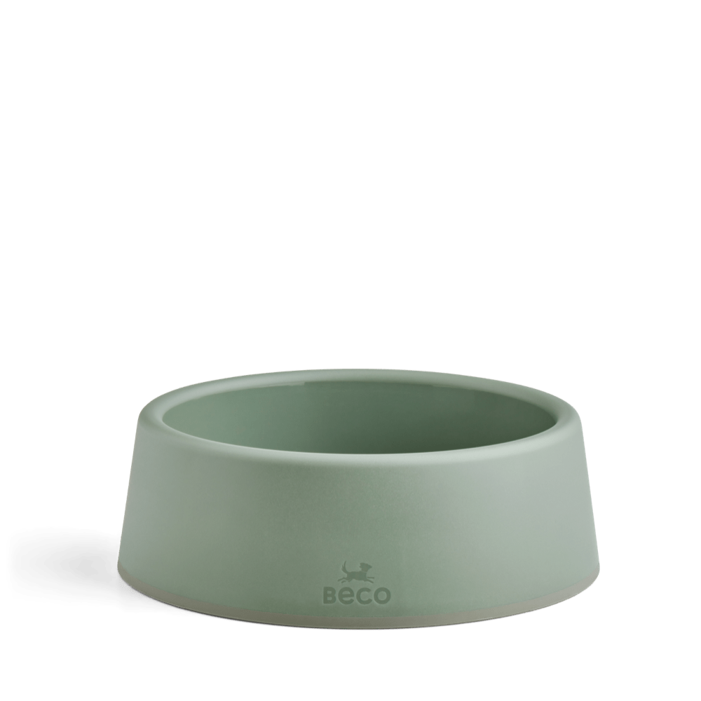 Steady Dog Bowl