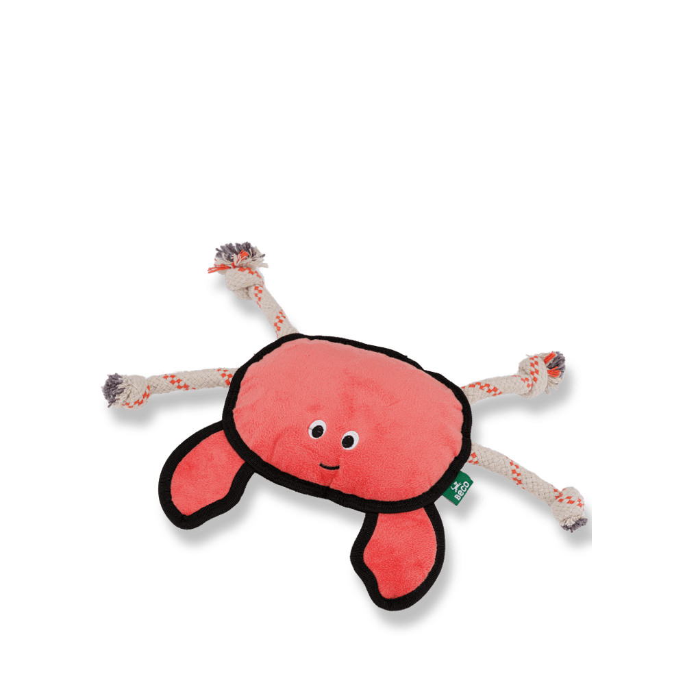 Recycled  Rough & Tough Crab