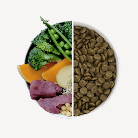 Wild Boar Dry Food with Pumpkin & Broccoli