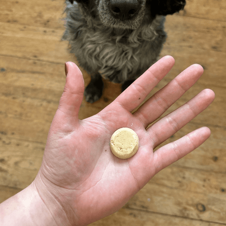 Chicken Liver Dog Treats with Parsnip & Honey