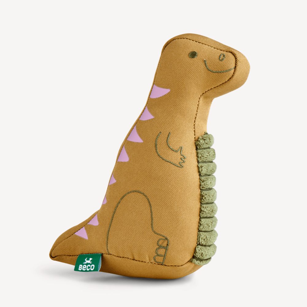 Recycled Soft Iguanodon