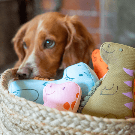 T-Rex Dinosaur Dog Toy