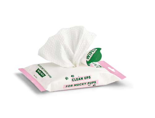 Bamboo Travel Wipes | Coconut Scented