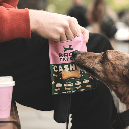 Cashew Dog Treats with Pumpkin Seed & Carrot