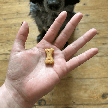 Cashew Dog Treats with Pumpkin Seed & Carrot