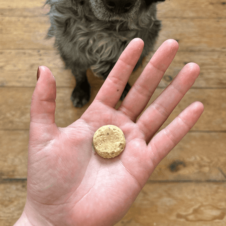 Duck Liver Dog Treats with Sage & Carrot