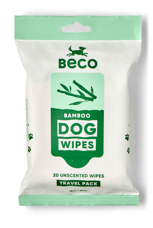 Bamboo Travel Wipes | Unscented