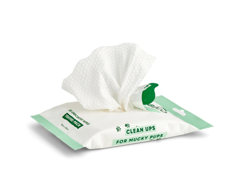 Bamboo Travel Wipes | Unscented