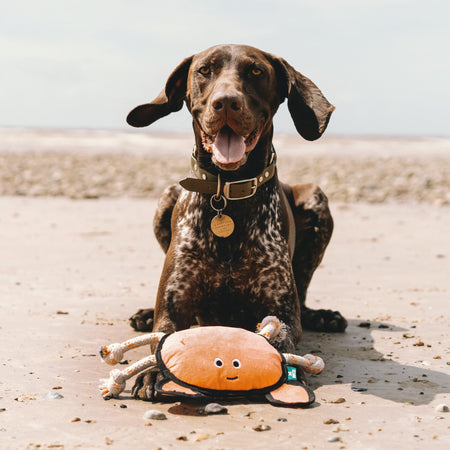 Plush Crab Dog Toy