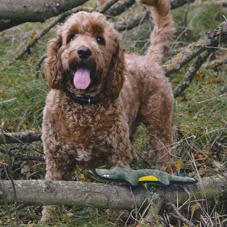 Plush Crocodile Dog Toy