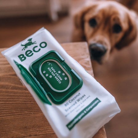 Bamboo Dog Wipes | Coconut Scented