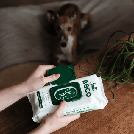 Bamboo Dog Wipes | Unscented